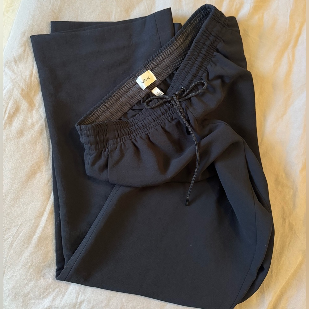 Aritiza Wilfred thesis pants